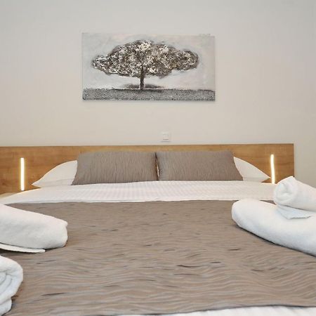 Villa Ankora 2 With Heated Pool Biograd Na Moru Eksteriør billede